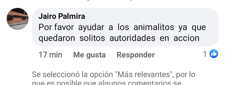 Comentarios en redes sociales