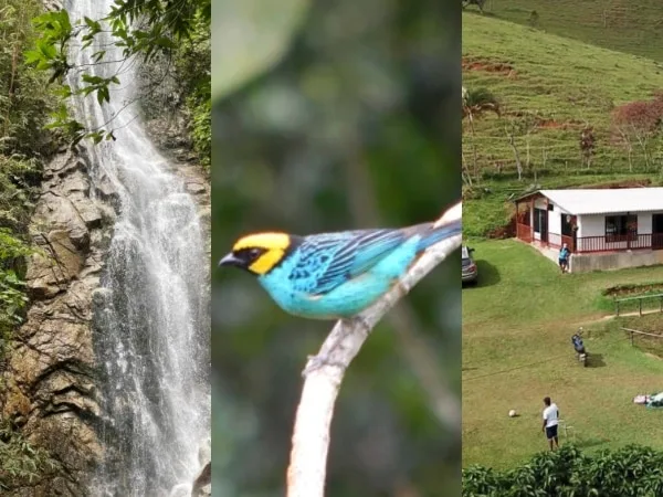 Turismo ecológico en La Elvira; cascadas, hospedaje y avistamiento de aves a solo 40 minutos de Cali