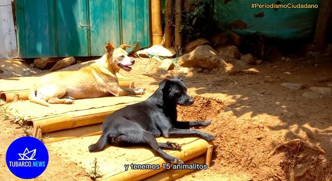 "Buscamos otro lugar donde podamos estar tranquilos",
