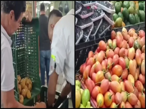 Los alimentos que más han consumido los colombianos en 2024.