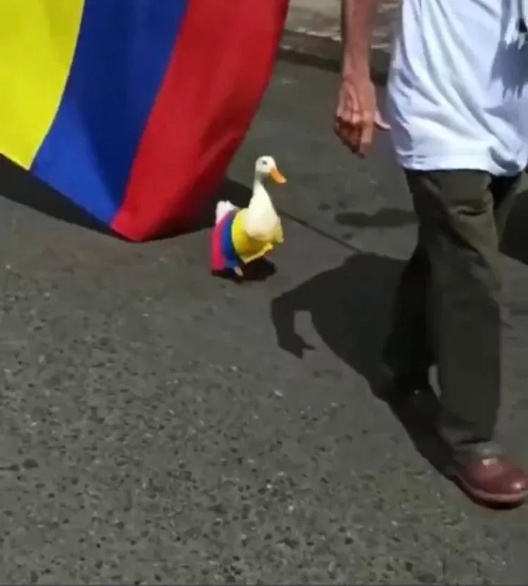 la sensación es Tita y su tranquila manifestación. 