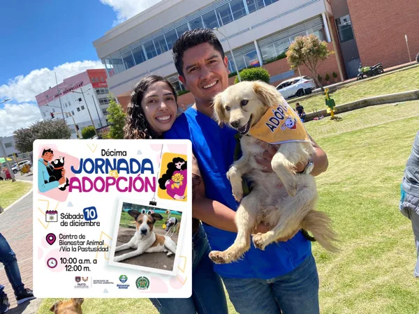Con jornada de adopción buscan cambio de vida para caninos abandonados en Pasto
