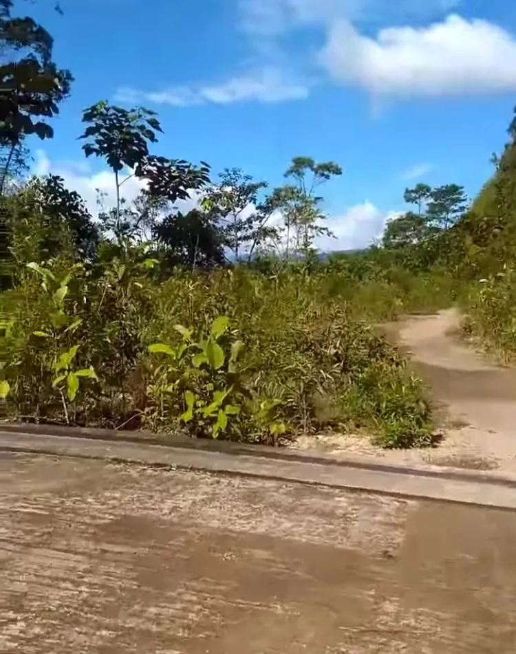 puente Putumayo elefante blanco