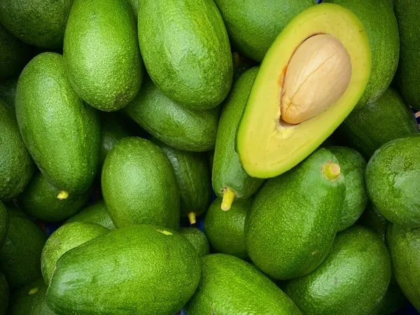 Aguacate.