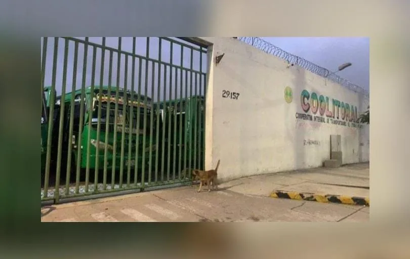 Coolitoral protesta extorsiones