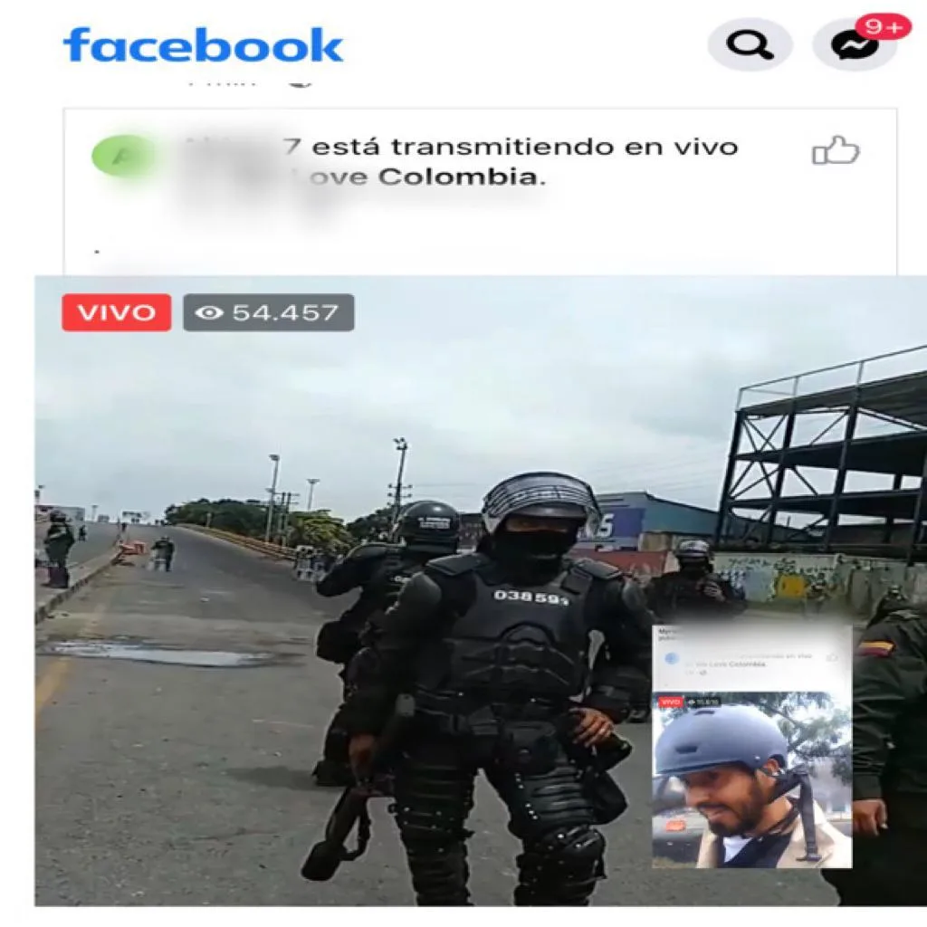 falsos en vivos
