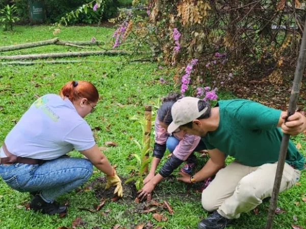 Se sembraron más de 15.000 árboles en el Valle del Cauca, una apuesta para restaurar los ecosistemas y frenar la deforestación