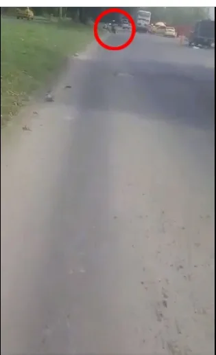 en la Simón Bolívar