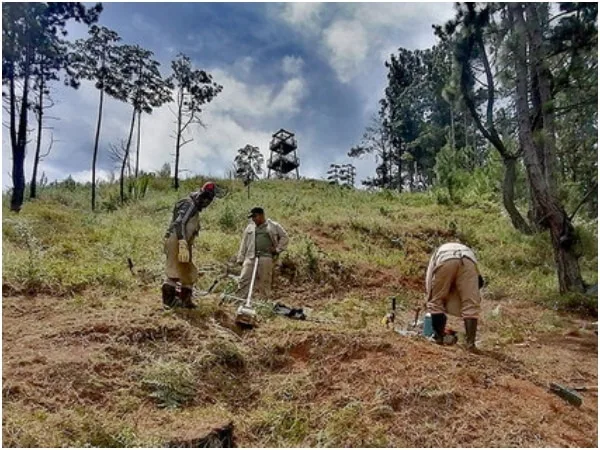 Alerta en Cali: cancelan servicios de guardabosques y camineros en zonas rurales