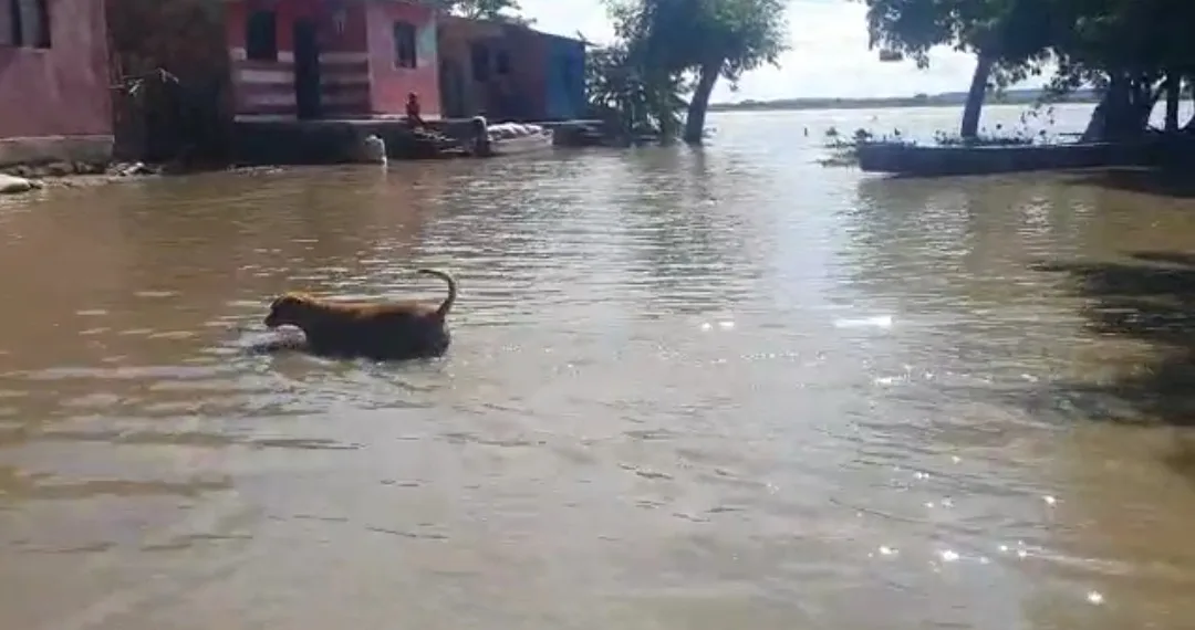 Casi 180 familias resultaron afectadas por inundaciones en Plato, Magdalena