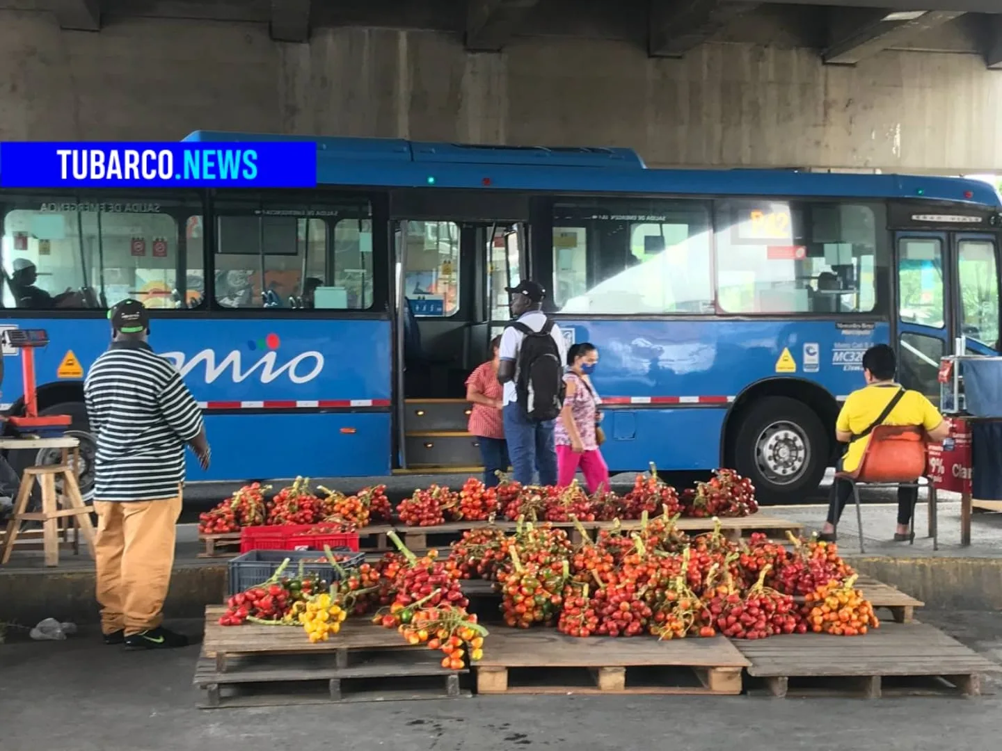 Chontaduro