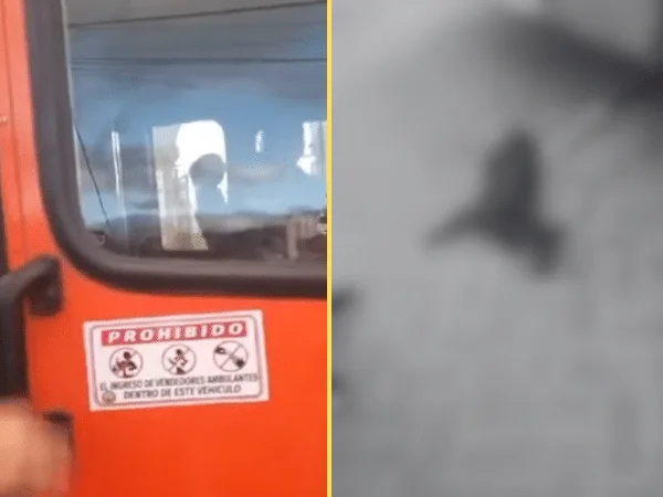 “El perro era mío, tiene que pagármelo” conductor de bus atropello a perro en Pasto
