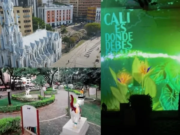¿Qué hay pa’ hacer en Cali este fin de semana? : Museo de la biodiversidad, Mapping, Feria amarilla entre otras actividades