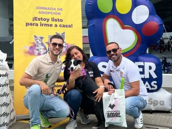 Jornadas de adopción en Cali. Foto: @proteccionanimalcali