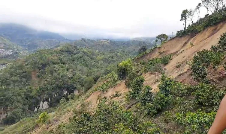 Colón Génova