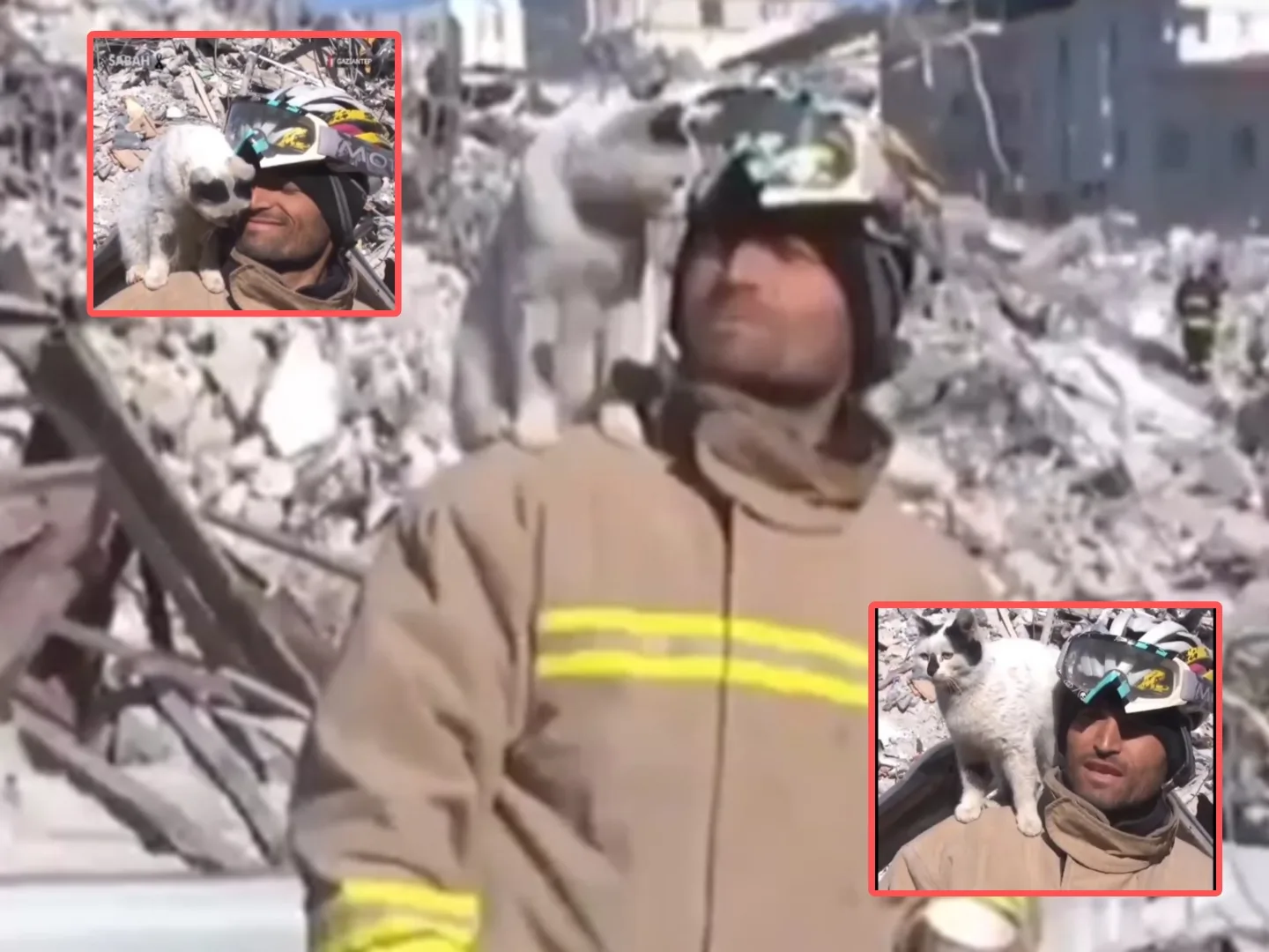 Ali Cakas y Enkaz vivirán juntos: Bombero rescatista de Turquía adoptó a la gata que salvó entre los escombros