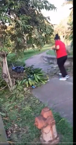en valle del lili