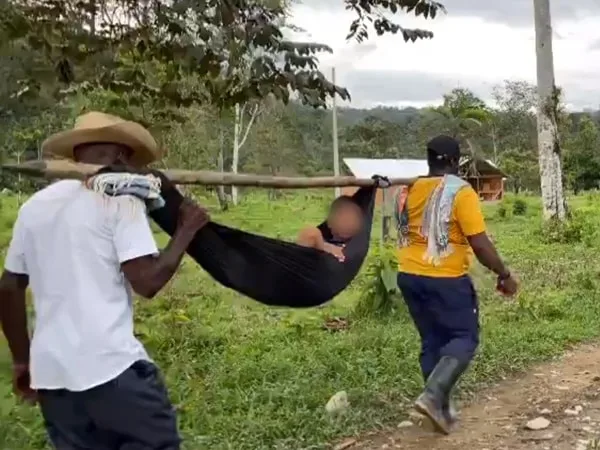 Aunque se solicitó apoyo para un traslado aéreo, este no fue confirmado a tiempo y el niño murió tras la picadura de serpiente.