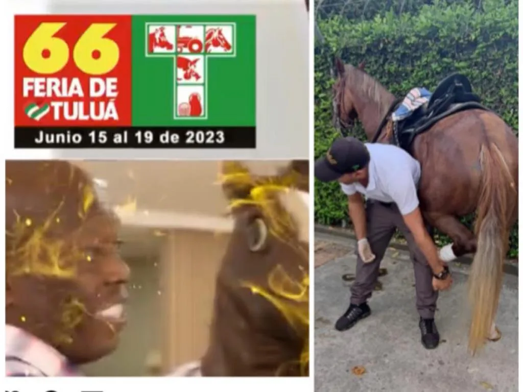 "Murió el caballo al caer del puente", cabalgata en Tuluá a la que invitó el Tino Asprilla