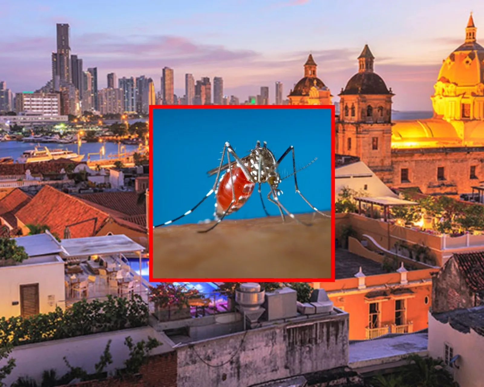 dengue en Cartagena