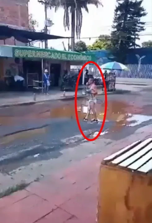 nueva floresta