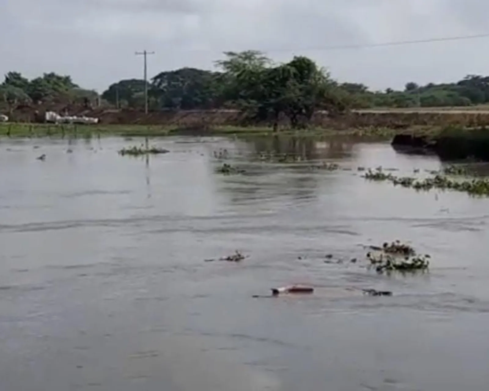 En Salamina: la erosión avanza y sigue generando nuevas amenazas por posibles inundaciones