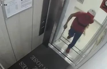 perro