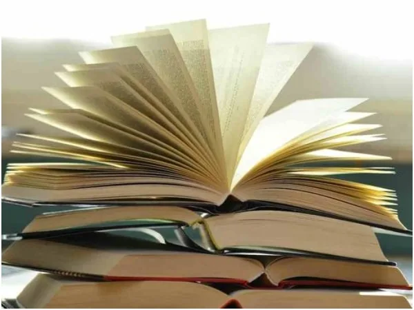 La Real Academia y la agencia Efe eligieron hoy la palabra del año: Polarización