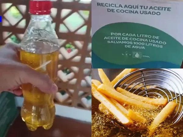 Aceite usado de cocina: Ideas para reciclarlo, y por qué no debes botarlo en el lavaplatos
