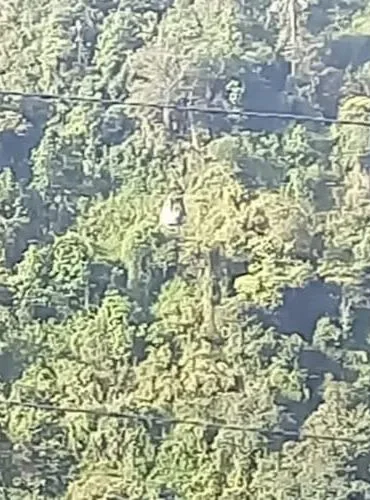 Tratan de rescatar a cinco personas atrapadas en teleférico más de 200 metros de altura