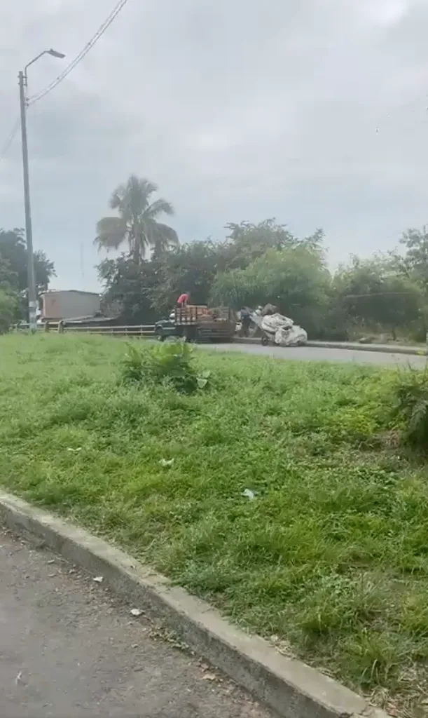 de La Isla en Cali