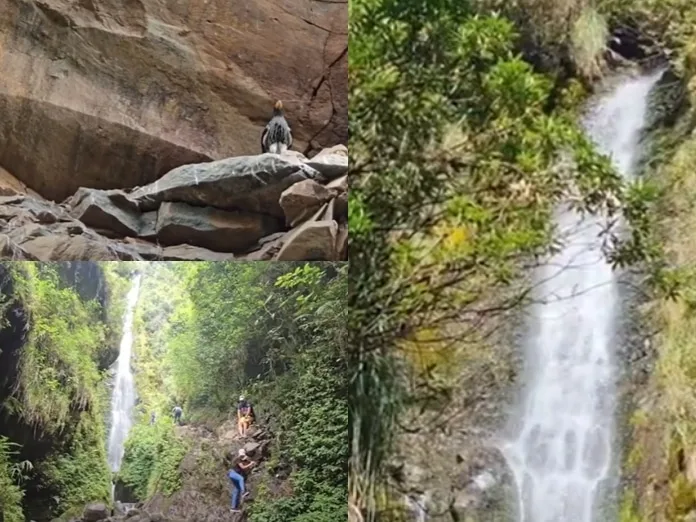 El corregimiento de Obonuco y su Chorrera son tesoros naturales que ofrecen una mezcla de historia, belleza y aventura. Ya sea que busques un escape tranquilo en la naturaleza o una emocionante caminata.
