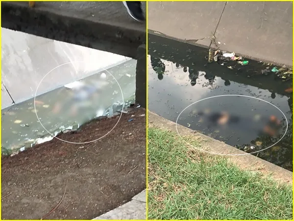 ¿Justicia por mano propia? En Cali investigan muerte de hombre que apareció en canal de aguas lluvias