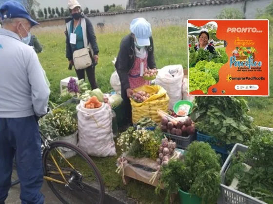 Apoyo al ‘agro’: En Pasto realizarán mercado campesino para impulsar a 210 productores de 4 departamentos