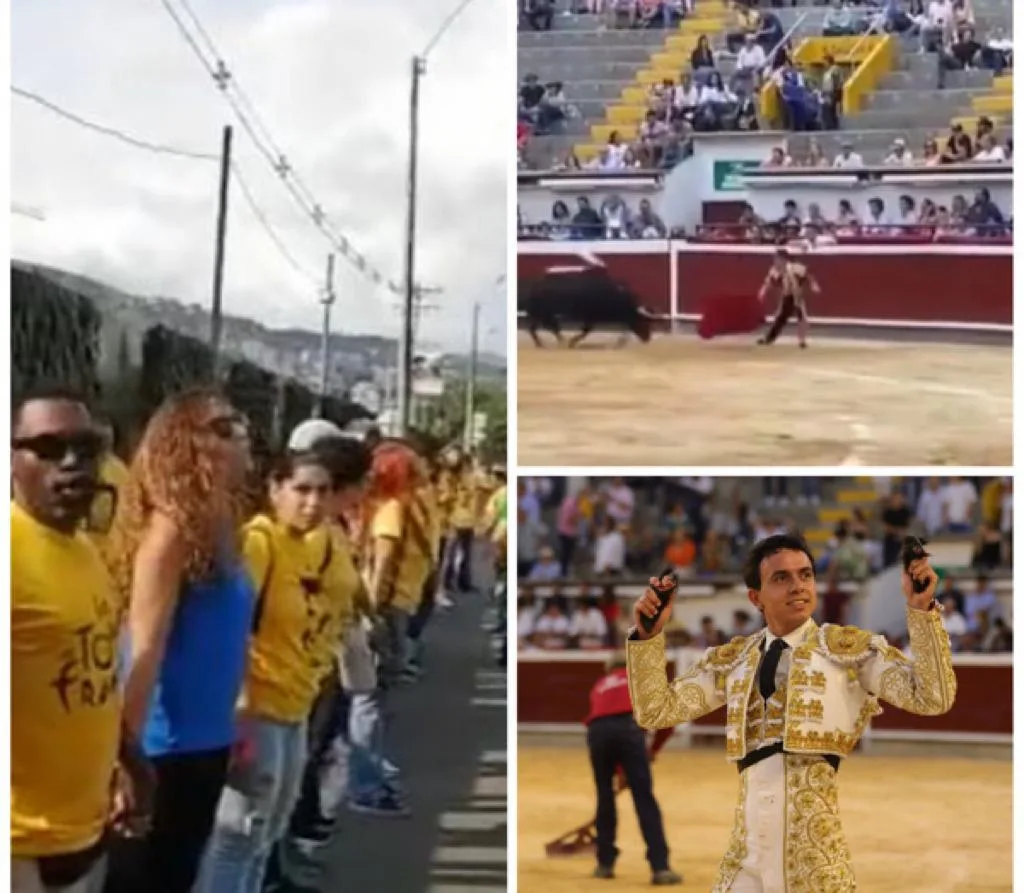 tarde de toros en Cali plaza Cañaveralejo