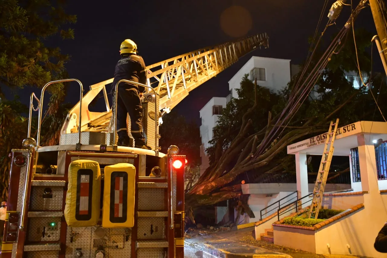 árbol caído lluvias Cali