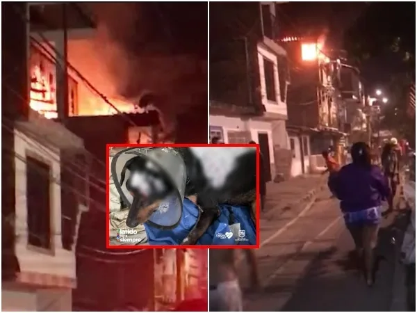 Mujer terminó con graves quemaduras al tratar de salvar sus animales, se incendió el albergue en el oriente de Cali