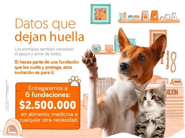 campaña