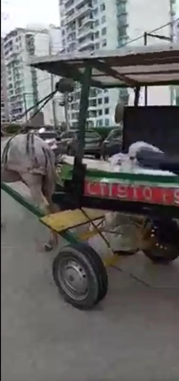 Patrullero