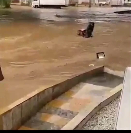 Pasoancho sur de Cali