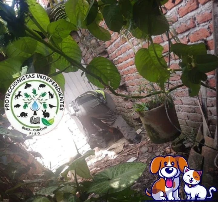 en guacarí