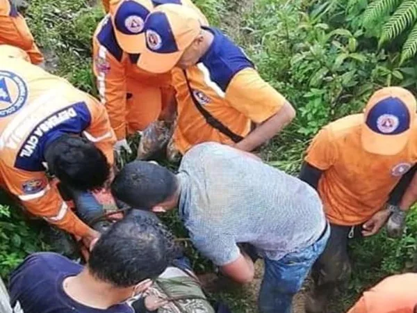 Vehículo se fue al abismo