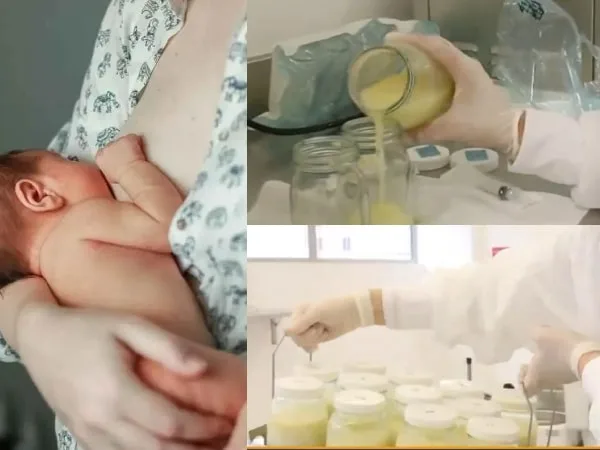 ¿A dónde acudir si quiero donar mi leche materna?: Asi funcionan los Bancos de Leche en Colombia