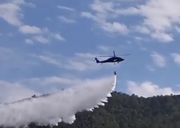 Por el incendio forestal en Yotoco, algunas especies de animales murieron