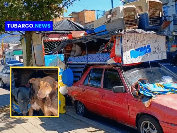 Alex y Rosario viajan por Colombia en el refugio sobre ruedas para rescatar animales, albergarlos y darlos en adopción.