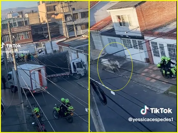 ¡Atrapen al Toro! en medio de incidente bovino huyó de sus transportadores y ni la Policía pudo atraparlo