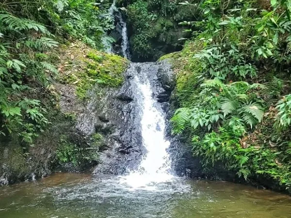 Farallones de Cali.