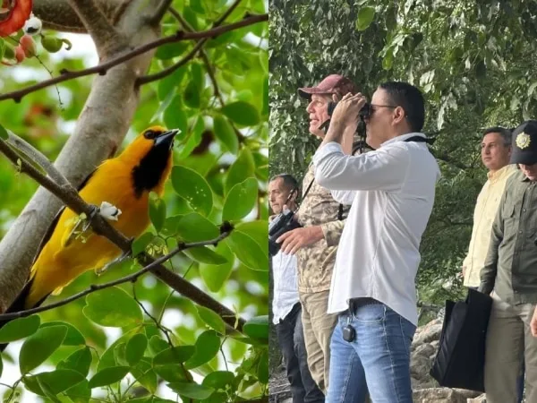 El Malecón de Cúcuta se consolida como escenario clave para el turismo de naturaleza y el avistamiento de aves