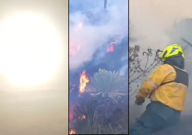 Nariño en alerta roja por incendios forestales: van 87 en pocas semanas
