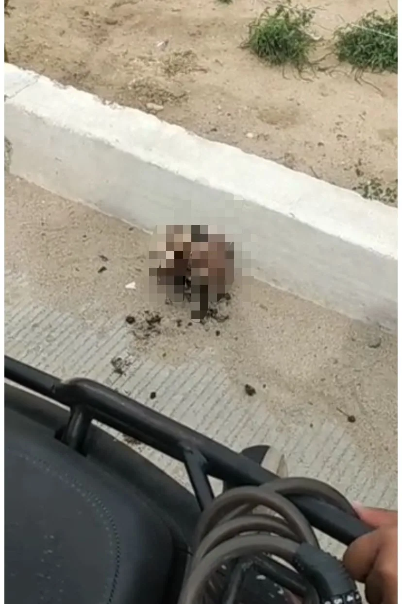 Estaban midiendo un lote y encontraron un cráneo humano, en Soledad Atlántico